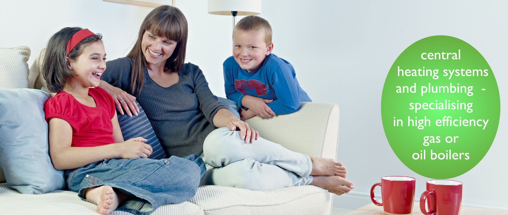 Boiler Services & Repairs, Central Heating and Plumbing from EPC Plumbing & Heating,  Louth, Meath, Balbriggan, Swords, Clonee, North County Dublin, Carrickmacross and Kingscourt