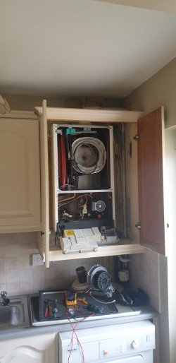 Lack of Maintenance Leads to Boiler Breakdown